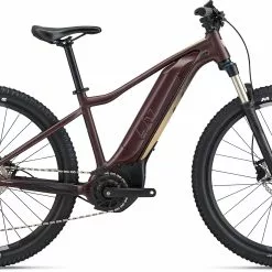 Liv Tempt E+ 1 Damer, Rød