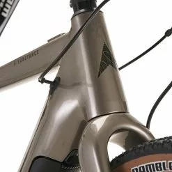 Vitus E-Substance Alloy Apex Intl. -E-bikes MTB Salg vitus e substance alloy apex intl gold 11